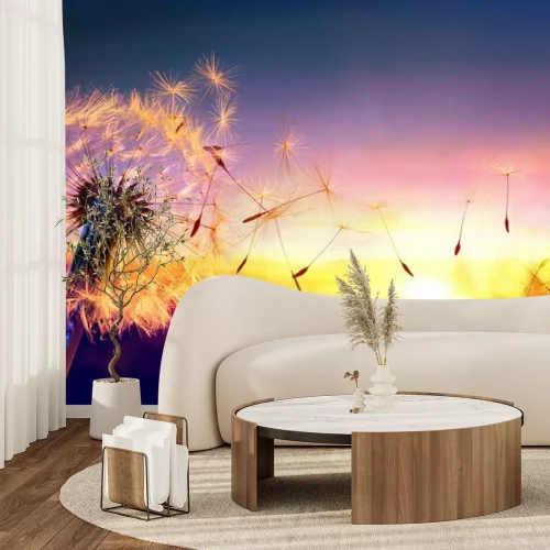 Fotobehang Paardenbloem op de achtergrond van de zonsondergang