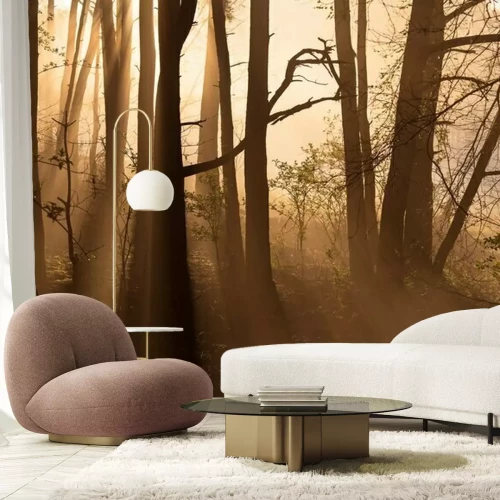 Fotobehang Bos licht op een vroege ochtend