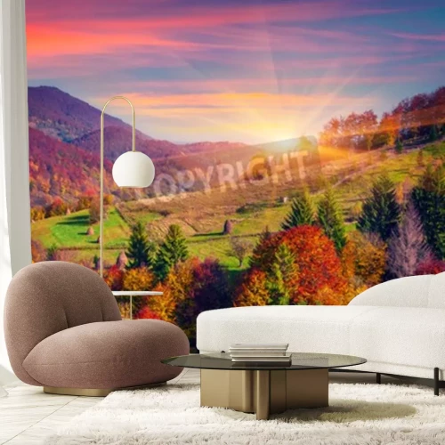 Fotobehang Zonsopgang en bomen in de herfst