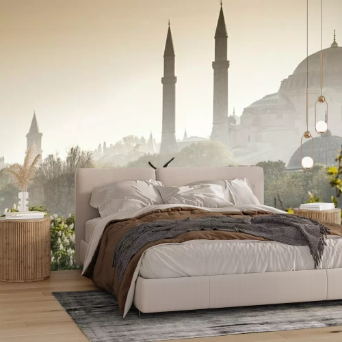 Fotobehang De Blauwe Moskee in Istanboel in de ochtend