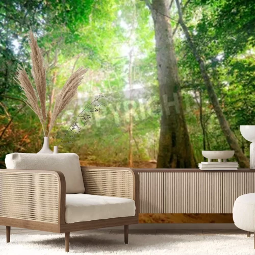 Fotobehang Jungle op een zonnige dag