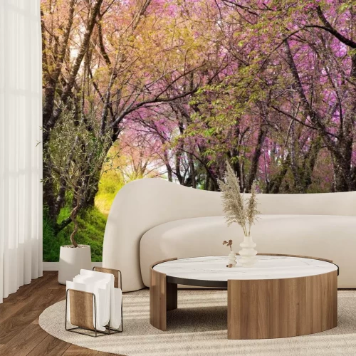 Fotobehang Een pad tussen bloeiende bomen