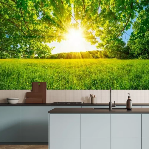 Fotobehang Zon en een weide