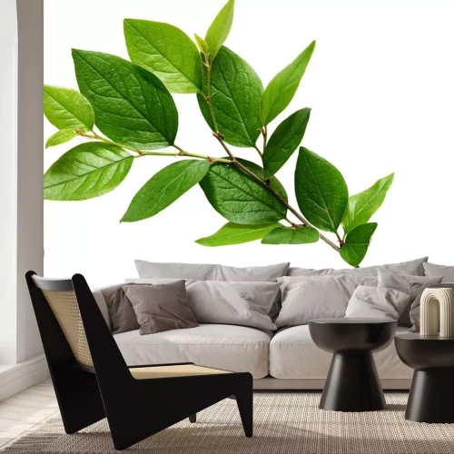 Sticker Takje met groene bladeren
