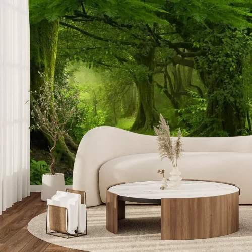 Fotobehang Een pad in een groen tropisch bos