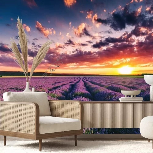 Fotobehang Bloeiende lavendelvelden bij zonsondergang