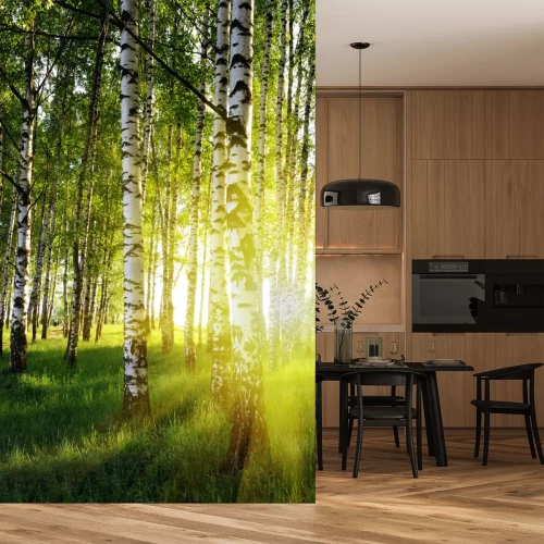 Sticker berk bomen in een zomer bos