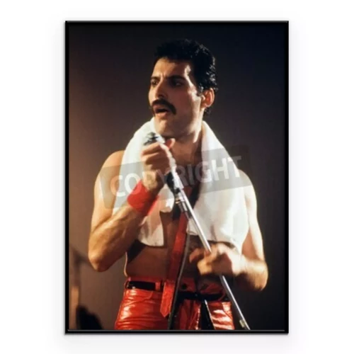 Poster LEIDEN, NEDERLAND - 27 november 1980: Freddy Mercury zanger van de Britse band Queen tijdens een concert in de Groenoordhallen in Leiden in Nederland