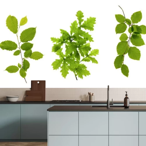 Sticker Groene bladeren die op wit.