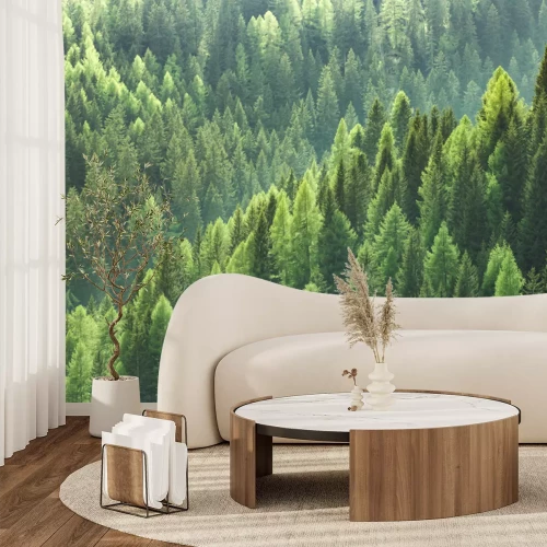 Fotobehang Naaldboslandschap vanuit vogelperspectief