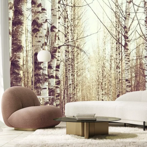 Fotobehang Maart landschap van een berkenbos