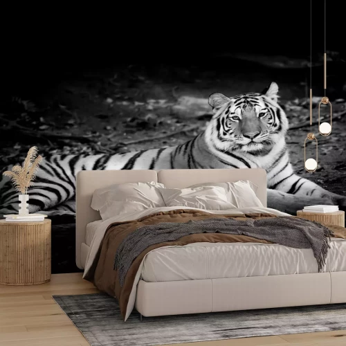 Sticker Monochroom portret van een tijger