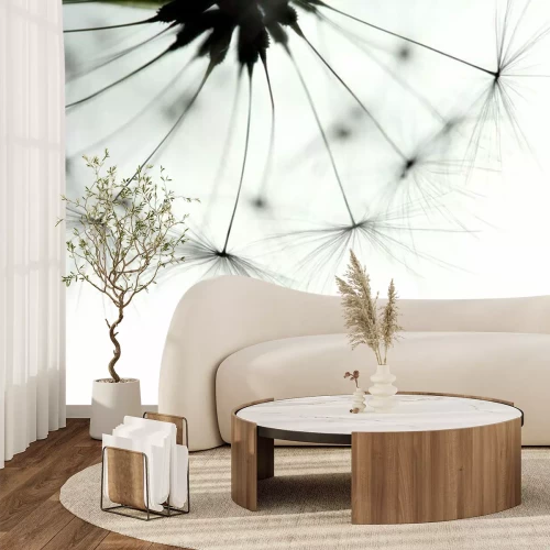 Fotobehang Paardenbloem van dichtbij