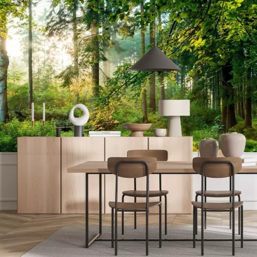 Fotobehang Zonsopgang in het bos