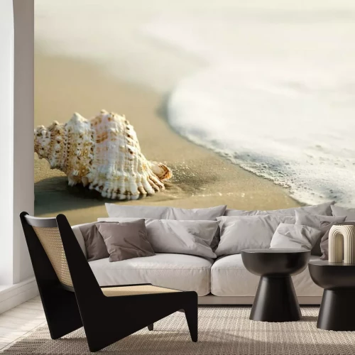 Fotobehang Zeeschelp op het strand