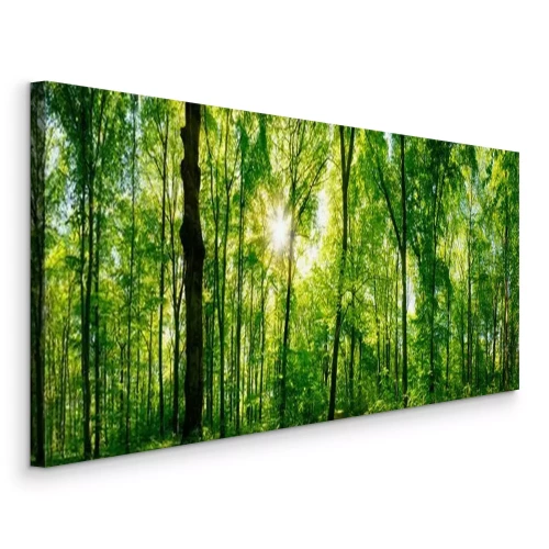 Canvas Een groen bos met de zon die door de bladeren schijnt