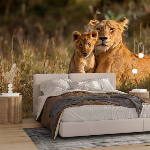 Fotobehang Leeuwenfamilie