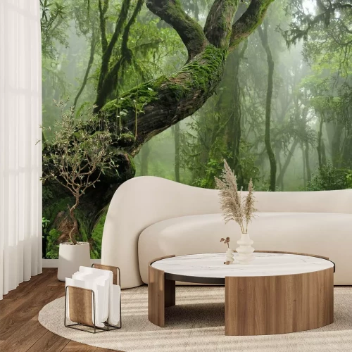 Fotobehang Dicht tropisch bos in de mist