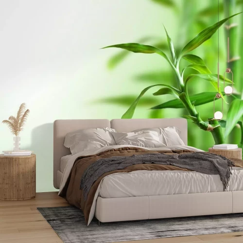 Fotobehang Bamboe en water