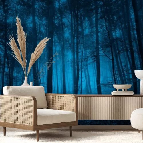 Fotobehang Donker bos in de avond