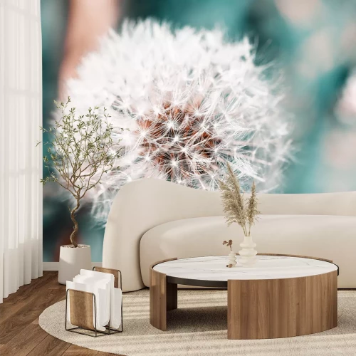 Fotobehang Paardenbloem op een wazige achtergrond