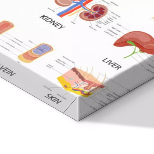 Visualisatie van het product