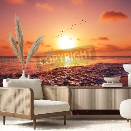 Fotobehang Zeevogels en zonsondergang