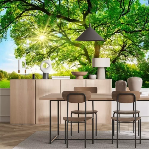 Fotobehang Een boom op een zonnige open plek