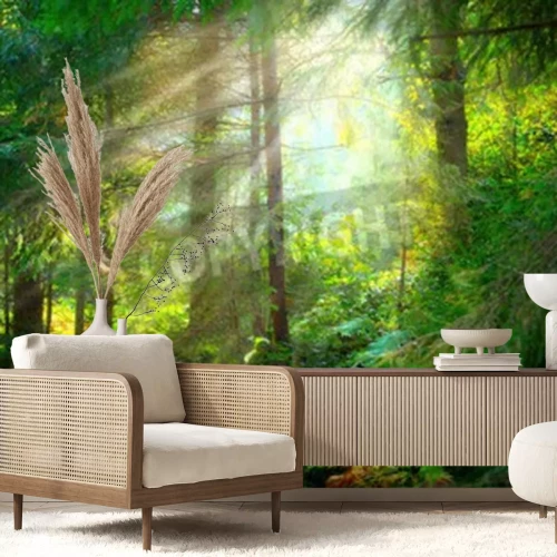 Fotobehang Prachtig mistig landschap van een groen bos