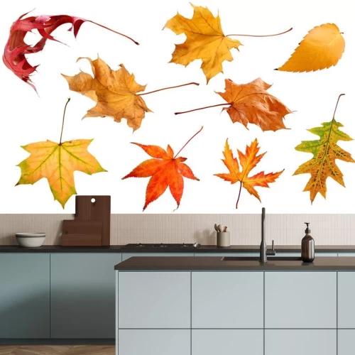 Sticker Vallen en de herfst bladeren geïsoleerd op een witte achtergrond collectie