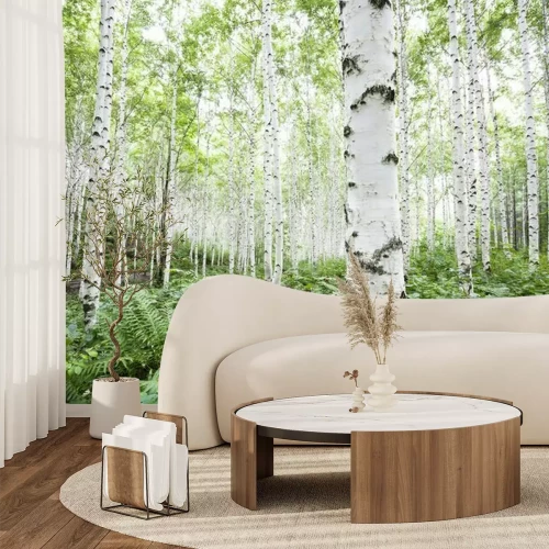 Fotobehang Witte berken in het bos in de zomer
