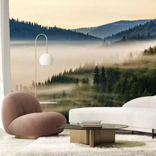 Fotobehang Een mistige ochtend in het sparrenbos