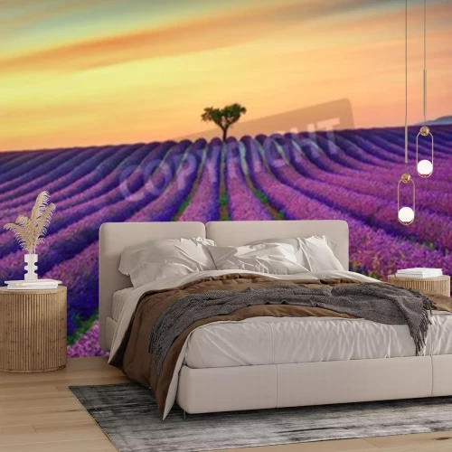 Fotobehang Zonsondergang op een lavendelveld