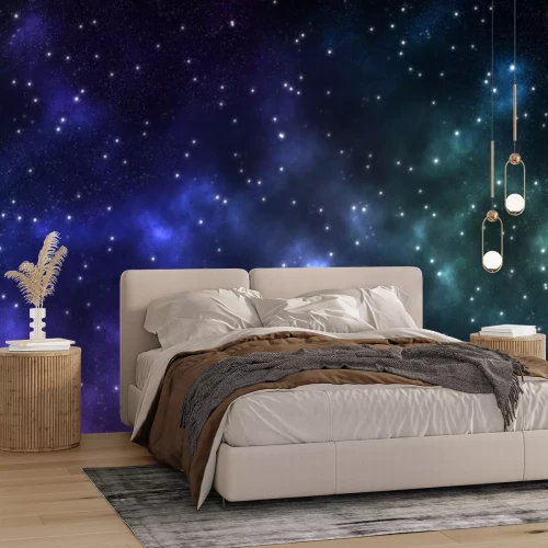 Sticker Cosmos in twee diepe kleuren