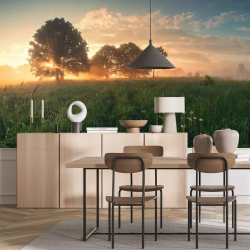 Fotobehang Kleurrijke lentezonsopgang in de weide