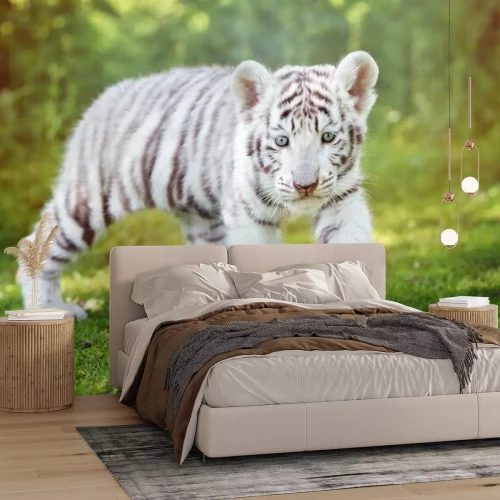 Fotobehang Een jonge tijger op het groene gras