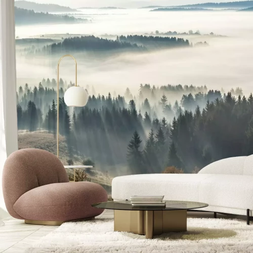 Fotobehang Ochtendnevel en bos in de zon