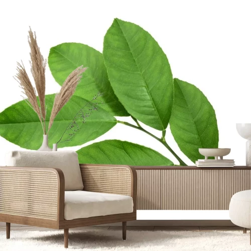 Sticker Citroen blad geïsoleerd op een witte achtergrond