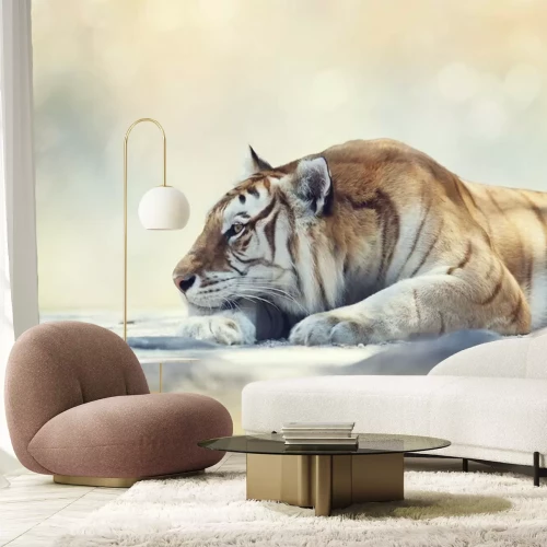 Fotobehang Volwassen tijger rustend op een rots