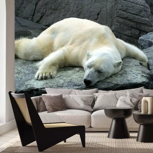 Fotobehang Ijsbeer slapend op de steen