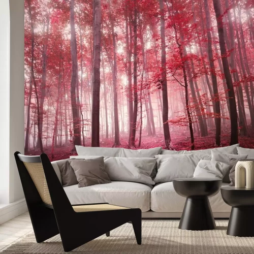 Fotobehang Rood magisch bos