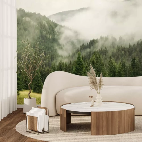 Fotobehang Naaldbos met mist