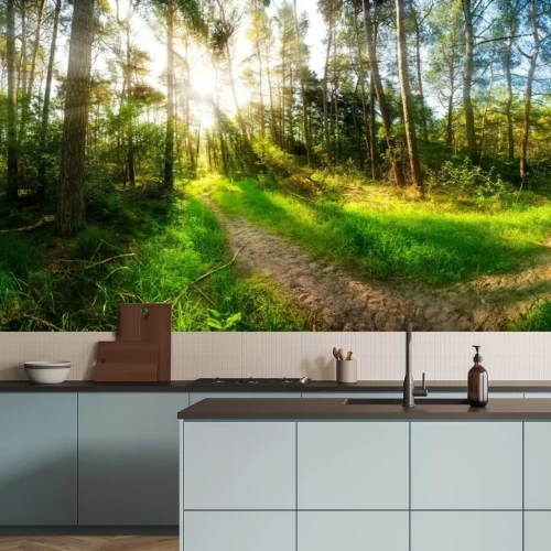 Fotobehang Ochtendzon in het bos