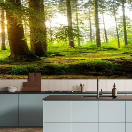 Fotobehang Groen bos met zonnestralen die erdoorheen schijnen