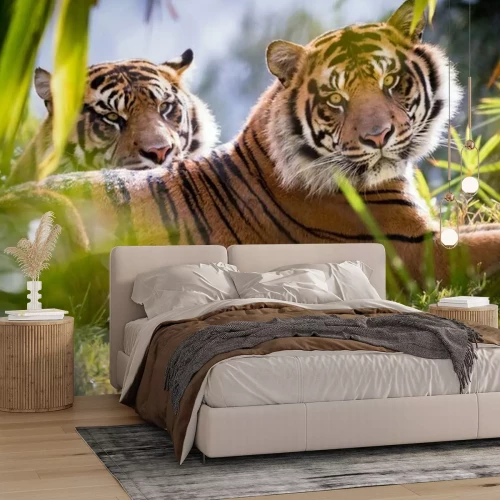 Fotobehang Twee tijgers in het groen