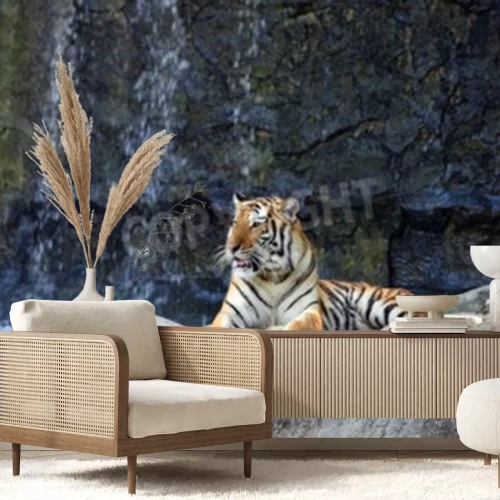 Fotobehang Portret van tijger op de stenen