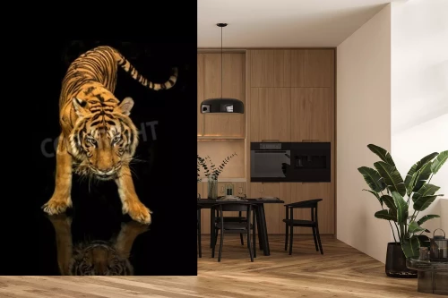 Visualisatie van het product