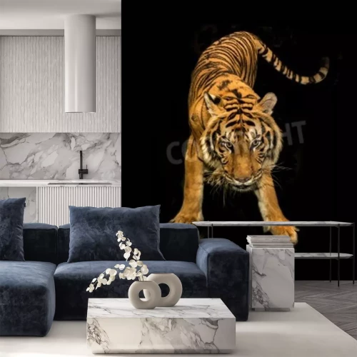 Fotobehang Tijger in beweging op donkere achtergrond