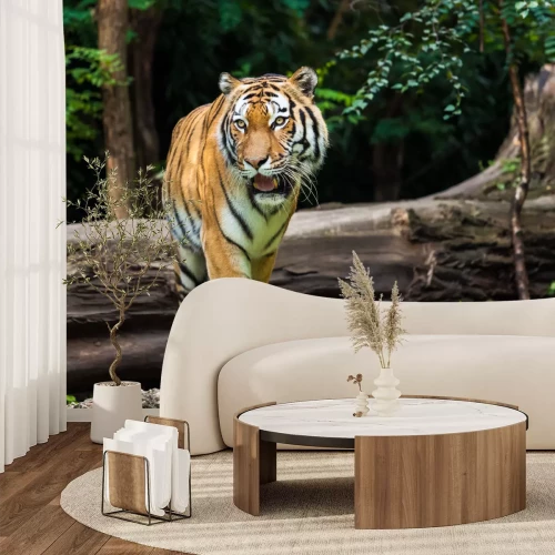 Fotobehang Majestueuze tijger in het bos