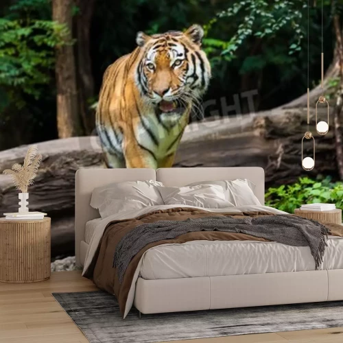 Fotobehang Majestueuze tijger in het bos